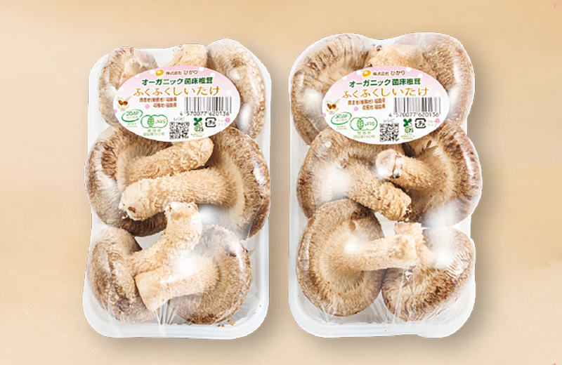 しいたけ パック詰め