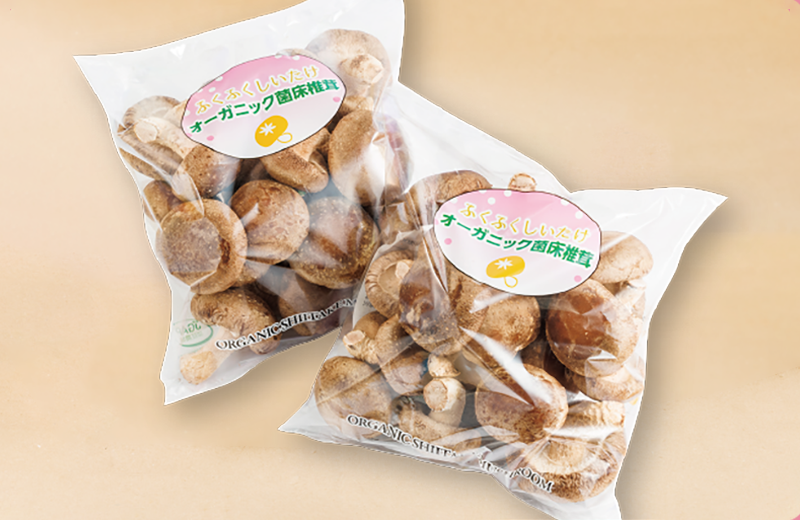 しいたけ ピロー（縦型）