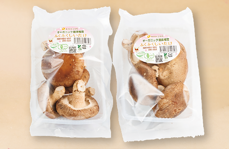 しいたけ ピロー（横型）