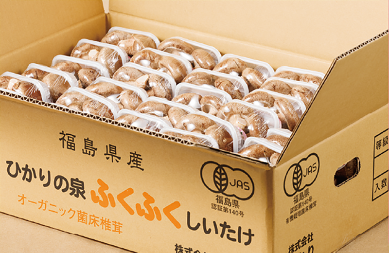 しいたけ パック詰め