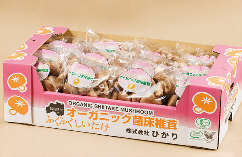 しいたけ 段ボール