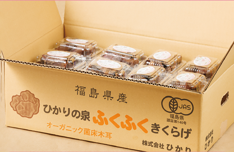 きくらげ段ボール30P