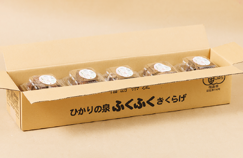 きくらげ段ボール10P